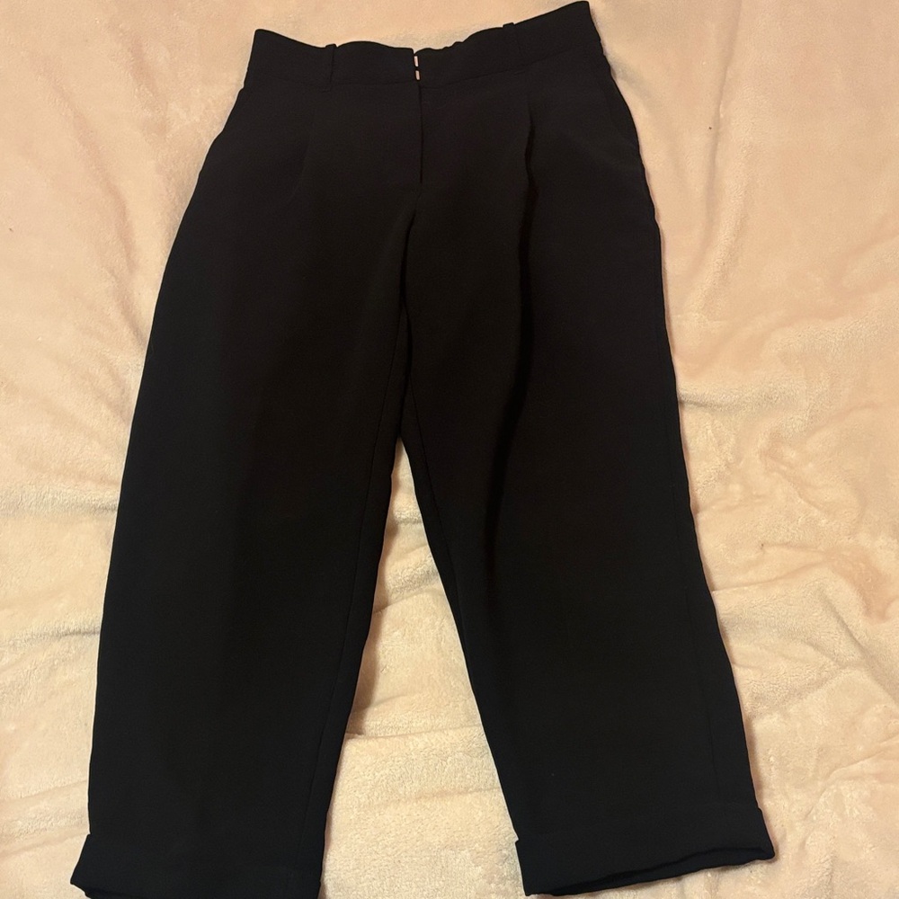 Aritzia Wilfred Dashwood Pants